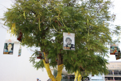 israel_jf_009