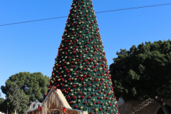 israel_jf_012