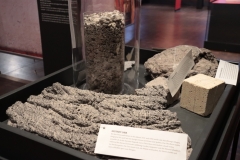 kalkriese-pompeji2022-017